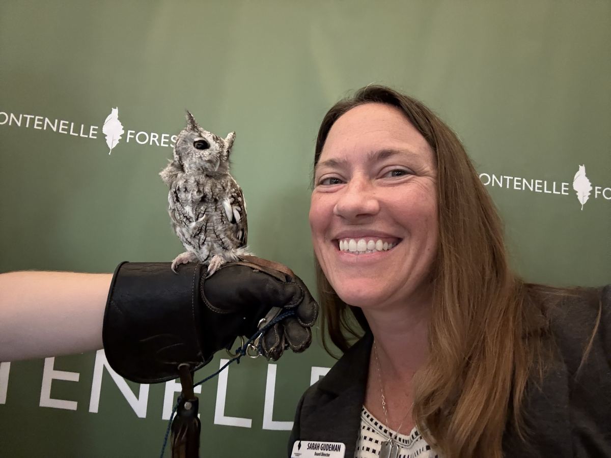 Holding an owl at a falconry experience