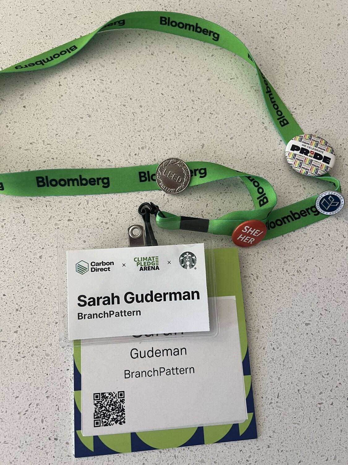 Image from “Bloomberg Green Festival”