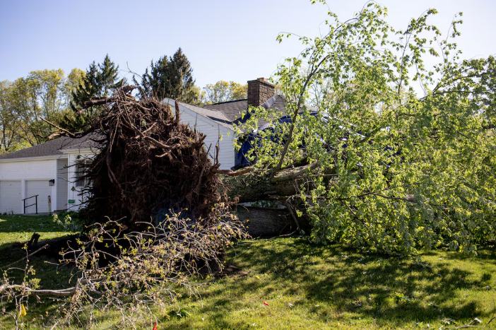 A view of a tree uprooted in the front yard of a residential home after a tornado hit in the area of Portage, Mighigan, U.S. via Reuters