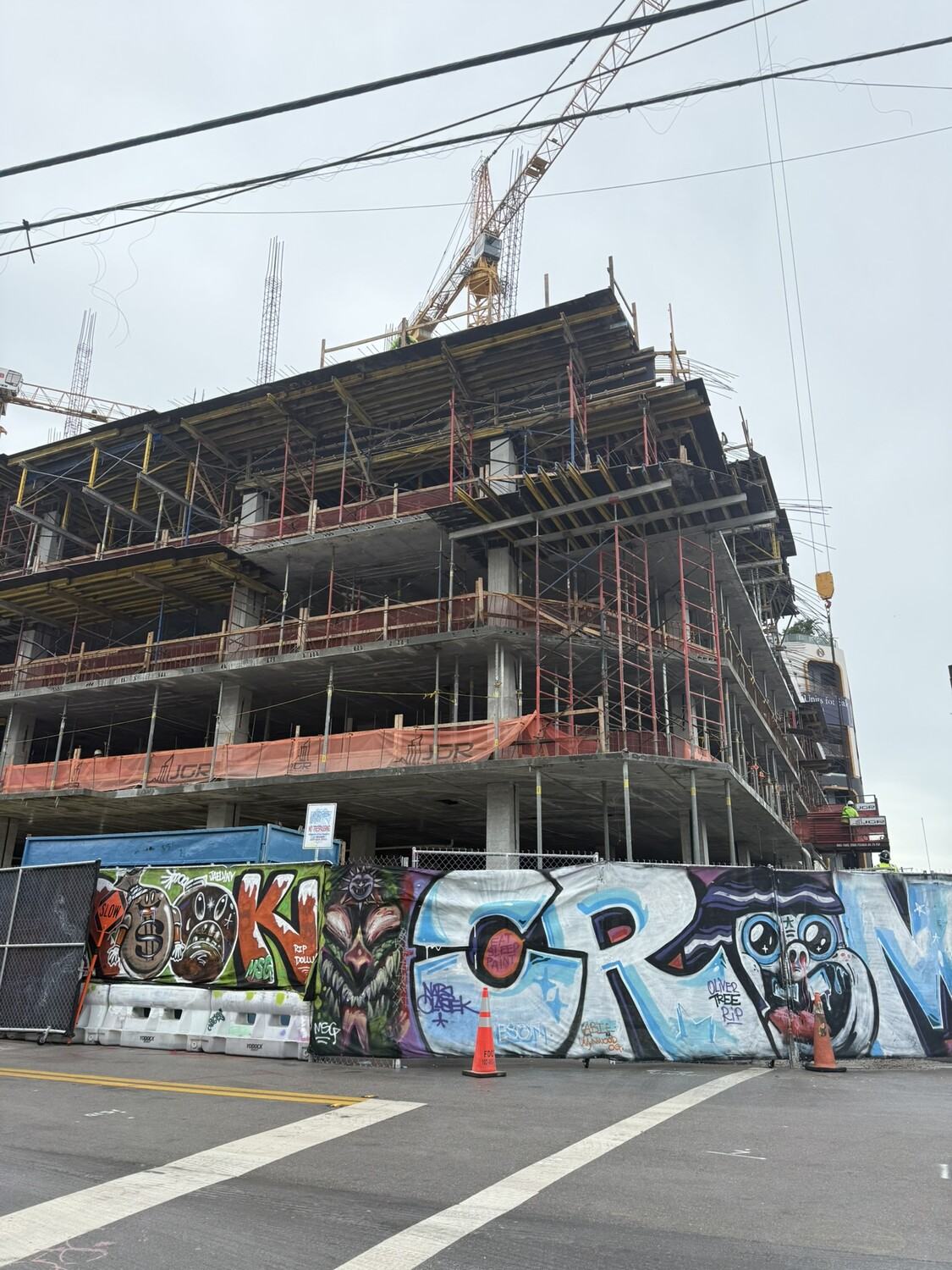 Wynwood is undergoing a massive transformation from an industrial warehouse district into a high-density, mixed-use urban hub.